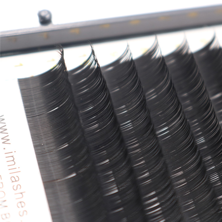 Top korean PBT fibers synthetic classic eyelash extensions factory-L