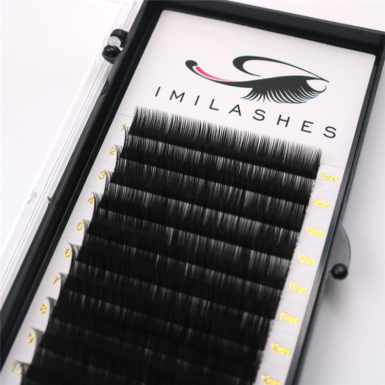 what-are-3d-lashes.JPG