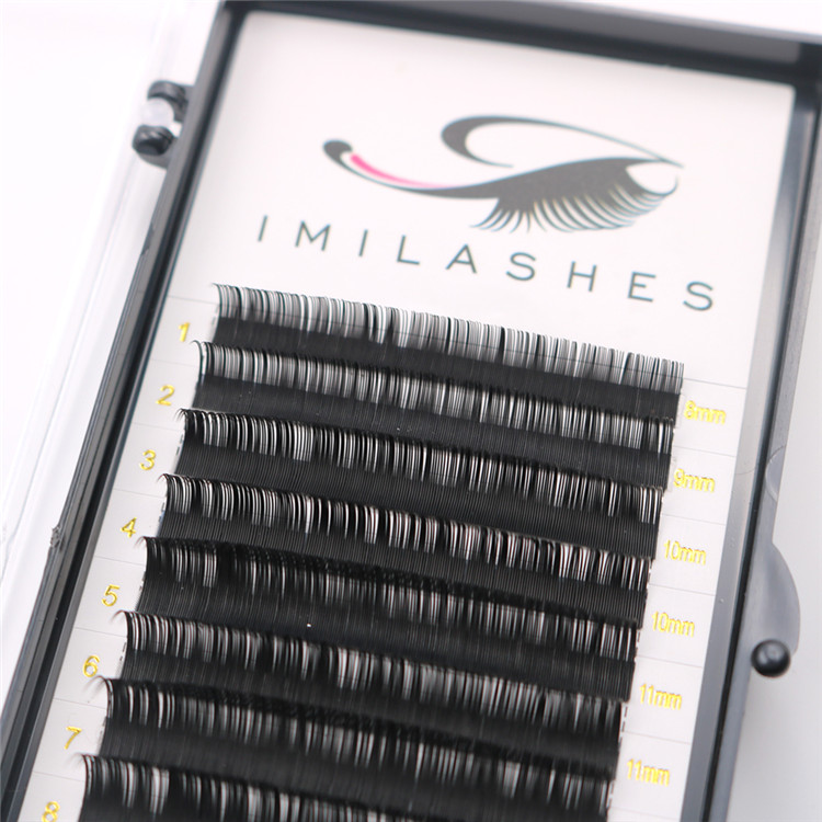 0.20-classic-individual-lashes.JPG