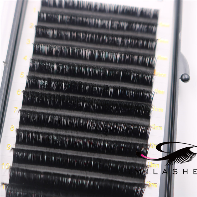 Rapid blooming lashes easy fans supply-V